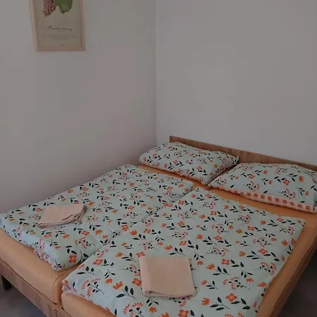 Jaky Svet Nevidel Alloggio in famiglia Šakvice