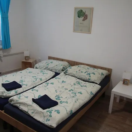 Jaky Svet Nevidel Séjour chez l'habitant Šakvice