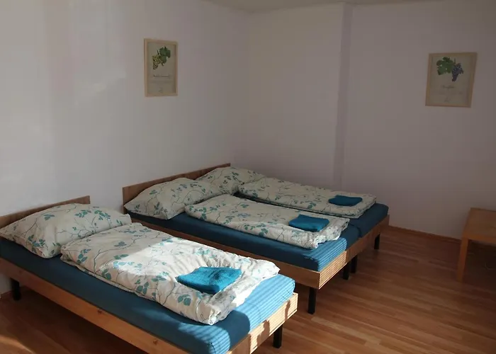 Habitación en casa particular Jaky Svet Nevidel *